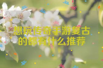 想玩传奇手游复古的都有什么推荐