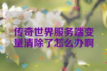 传奇世界服务端变量清除了怎么办啊