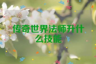 传奇世界法师升什么技能