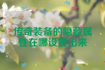 传奇装备的隐藏属性在哪设置出来