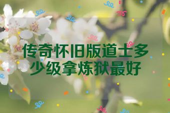 传奇怀旧版道士多少级拿炼狱最好