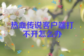 热血传说客户端打不开怎么办