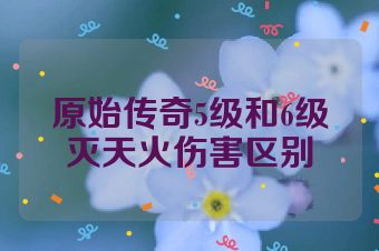 原始传奇5级和6级灭天火伤害区别