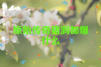 原始传奇猪洞都爆什么