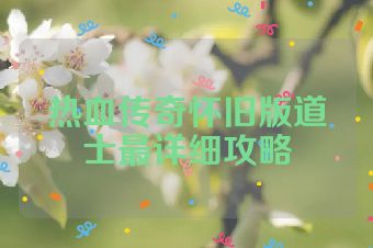 热血传奇怀旧版道士最详细攻略