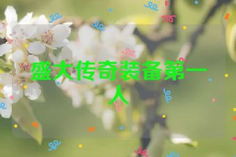 盛大传奇装备第一人