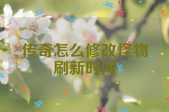 传奇怎么修改怪物刷新时间