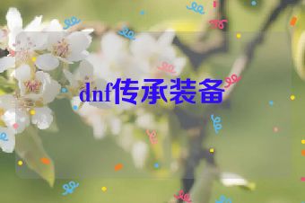 dnf传承装备