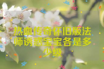 热血传奇怀旧版法师诱惑宝宝各是多少级