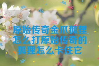 原始传奇金爪狐狸怎么打原始传奇的狐狸怎么卡住它