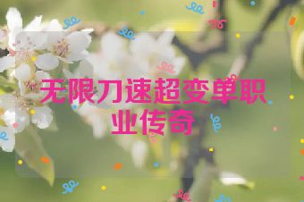 无限刀速超变单职业传奇
