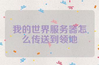我的世界服务器怎么传送到领地