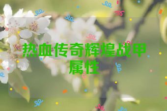 热血传奇辉煌战甲属性