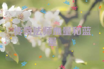 传奇法师血量和蓝量