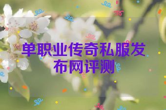 单职业传奇私服发布网评测