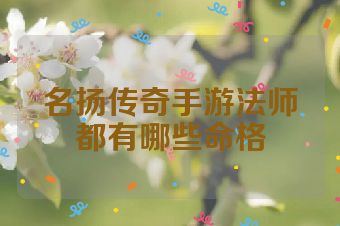 名扬传奇手游法师都有哪些命格