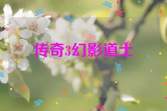 传奇3幻影道士