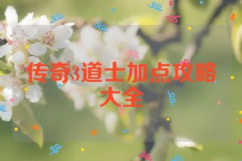 传奇3道士加点攻略大全