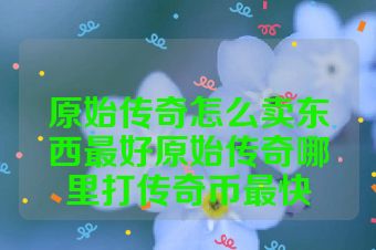 原始传奇怎么卖东西最好原始传奇哪里打传奇币最快