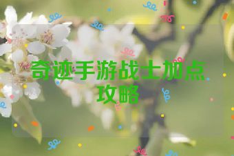奇迹手游战士加点攻略