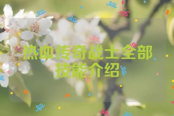 热血传奇战士全部技能介绍