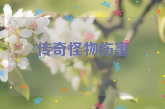 传奇怪物伤害