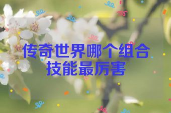 传奇世界哪个组合技能最厉害