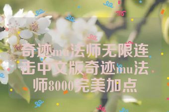 奇迹mu法师无限连击中文版奇迹mu法师8000完美加点