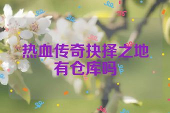 热血传奇抉择之地有仓库吗
