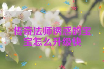 传奇法师诱惑的宝宝怎么升级快