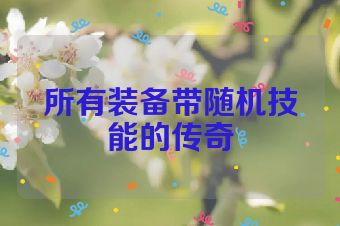 所有装备带随机技能的传奇