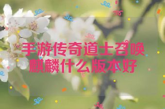 手游传奇道士召唤麒麟什么版本好