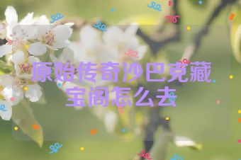原始传奇沙巴克藏宝阁怎么去