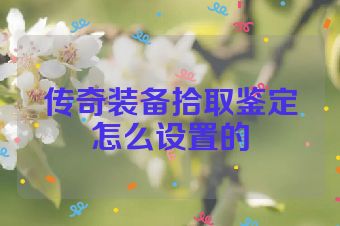传奇装备拾取鉴定怎么设置的