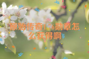 原始传奇1.76勋章怎么获得啊
