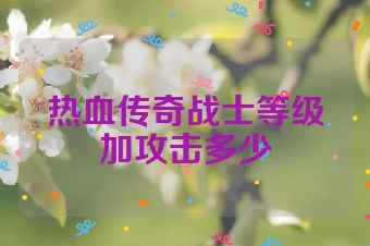 热血传奇战士等级加攻击多少