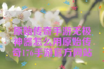 原始传奇手游无极神器怎么用原始传奇176手游官方网站