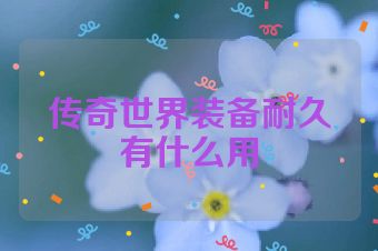 传奇世界装备耐久有什么用