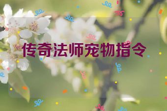 传奇法师宠物指令