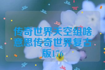传奇世界天空组啥意思传奇世界复古版176