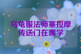 乌龟服法师塞拉摩传送门在哪学