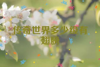 传奇世界多少级有翅膀