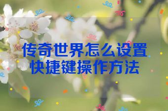 传奇世界怎么设置快捷键操作方法