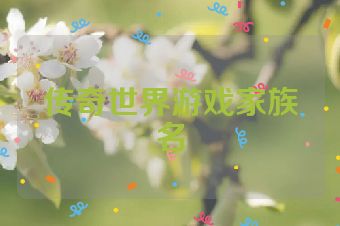 传奇世界游戏家族名