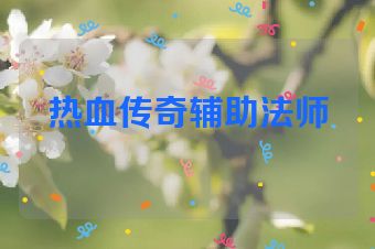 热血传奇辅助法师