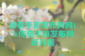 传奇手游发布网网176传奇手游发布网新开服