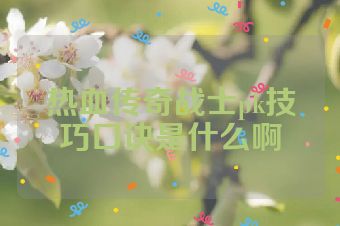 热血传奇战士pk技巧口诀是什么啊