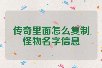 传奇里面怎么复制怪物名字信息