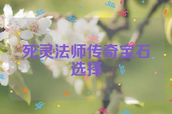 死灵法师传奇宝石选择