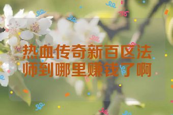 热血传奇新百区法师到哪里赚钱了啊
